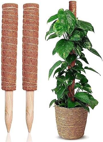 Mos Stick