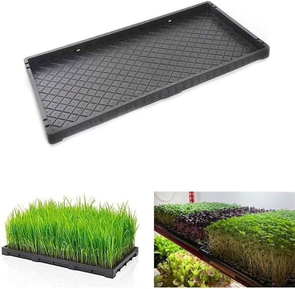Micro Green Tray High-quality microgreen yields