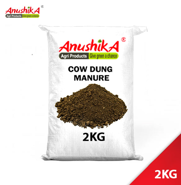 Cow Dung