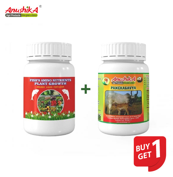 Fish Amino Acid 1L + Panchagavya 1L Combo