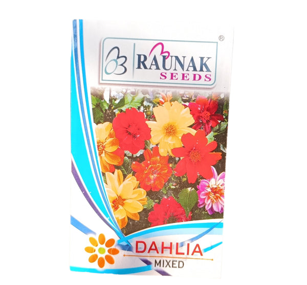 Dahlia - டாலியா