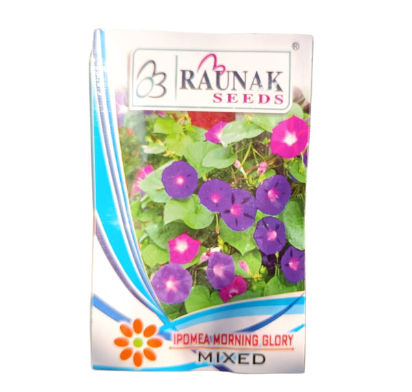 Ipomoea Morning Gloery -ஐபோமியா மார்னிங் குளோரி