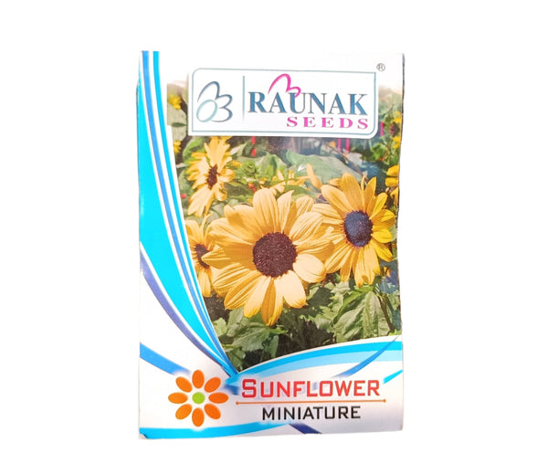 Sunflower Miniature -சூரியகாந்தி