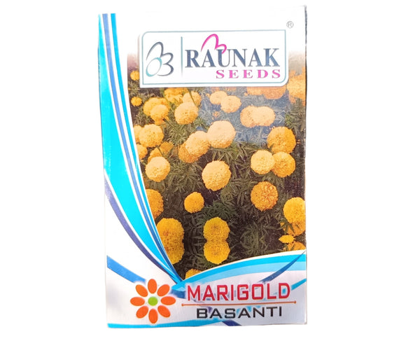 Marigold  சாமந்திப்பூ