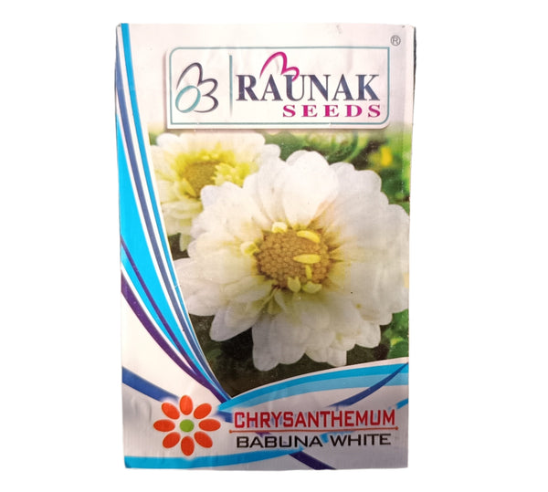 Chrysanthemum-கிரிஸான்தமம் பூ