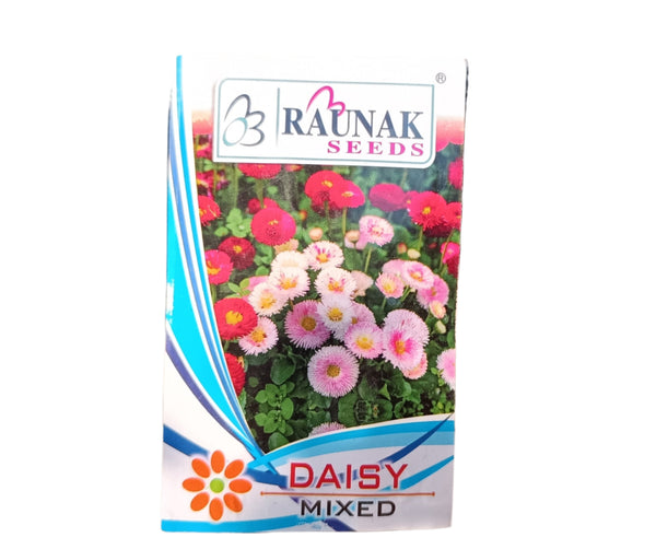 Daisy mixed-டெய்சி High Germination, Perfect for pots, balconies, or Terrace gardens
