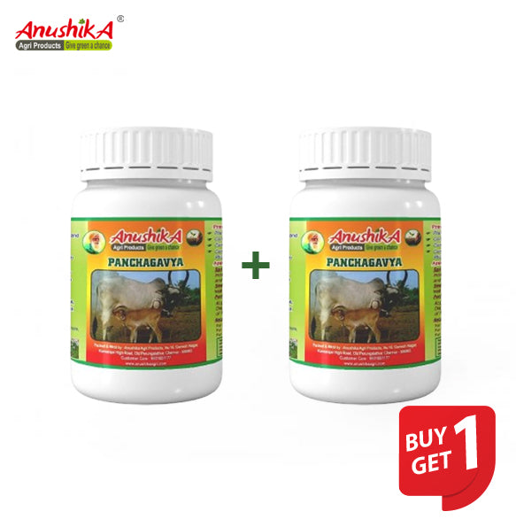 Panchagavya Plant Fertilizer 500 ml 1 + 1