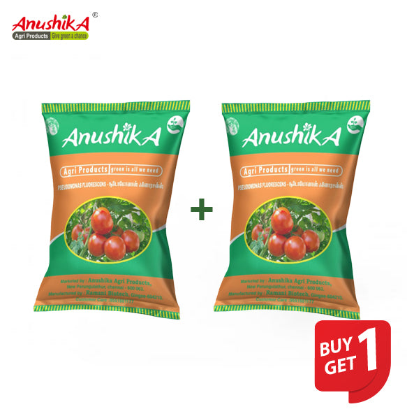 Pseudomonas (சூடோமோனாஸ்) 500g pack- BUY 1 GET 1