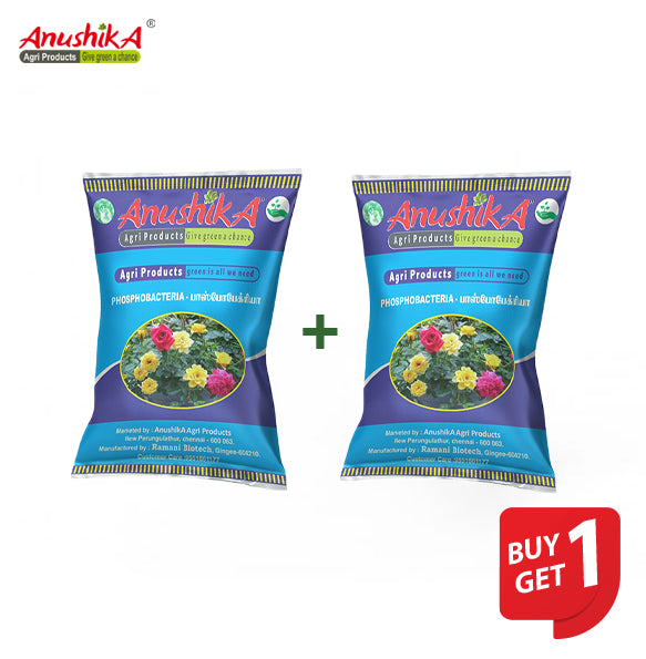 Phospho bacteria 500g pack Buy 1 GET 1