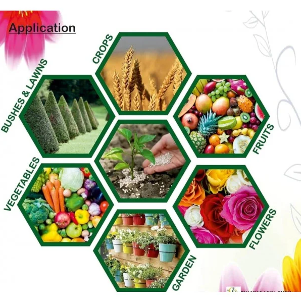 Fertilizer for Indoor and Outdoor Plants, 1kg, NPK 19-19-19 Formula (0.500)