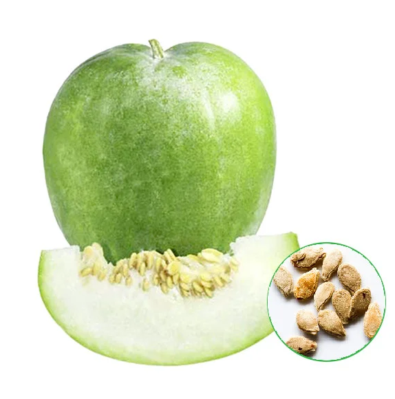 Ash Gourd, Methai Petha, சாம்பல் பூசணிக்காய்