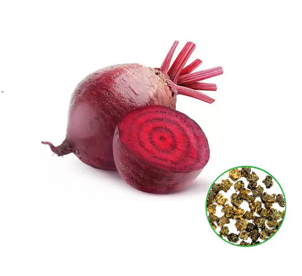 Beet Root- பீட் ரூட்