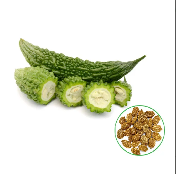 Bitter Gourd -பாகற்காய்