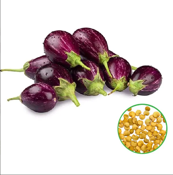 Brinjal Purple Varikathari-ஊதா வரி கத்தரி