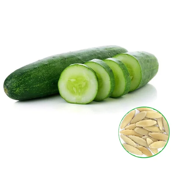 Cucumber Plant Seed -வெள்ளரிக்காய்