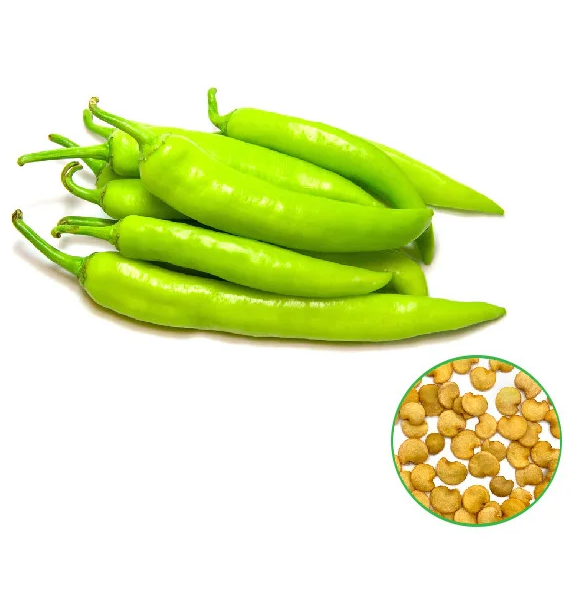 Green Chilli (Mirchi) - பச்சை மிளகாய்