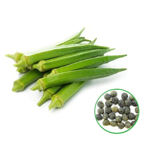 Lady Finger வெண்டைக்காய்
