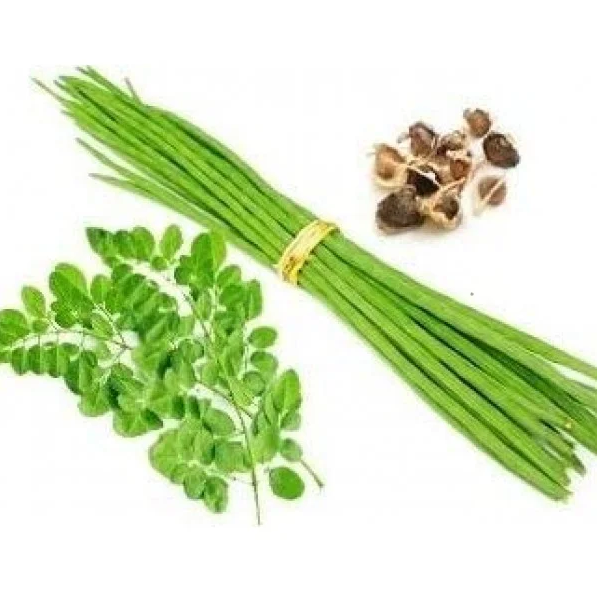 Drumstick seed-( முருங்கை விதை ) Moringa Seed