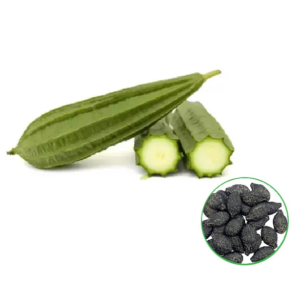 Ridge Gourd - பீர்க்கங்காய்