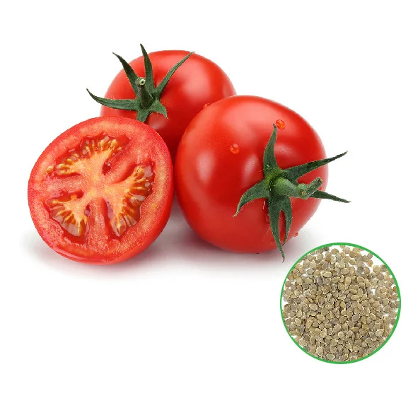Tomato -தக்காளி