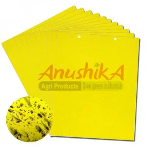 Yellow Sticky Trap -Controlling sucking pest,White fly, Aphids, Jassids..- மஞ்சள் பொறி தாள்